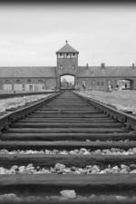 Watch AUSCHWITZ: ORDERS AND INITIATIVES Nowvideo
