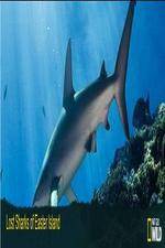 Watch National Geographic Wild - Lost Sharks of Easter Island Nowvideo