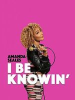 Watch Amanda Seales: I Be Knowin\' Nowvideo