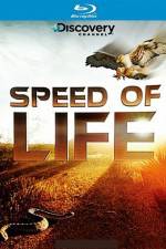 Watch Speed of Life Nowvideo