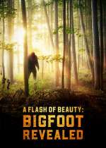 Watch A Flash of Beauty: Bigfoot Revealed Nowvideo