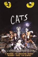Watch Cats Nowvideo
