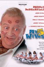 Watch My 5 Wives Nowvideo