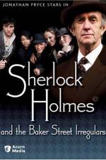 Watch Sherlock Holmes and the Baker Street Irregulars Nowvideo