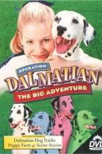 Watch Operation Dalmatian: The Big Adventure Nowvideo