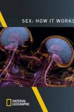Watch Sex How It Works Nowvideo