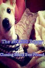 Watch The 60,000 Puppy: Cloning Man's Best Friend Nowvideo