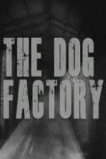 Watch The Dog Factory Nowvideo