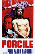 Watch Porcile Nowvideo
