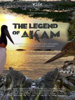 Watch The Legend of Akam Nowvideo