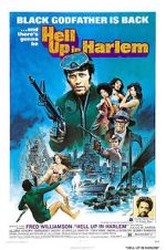 Watch Hell Up in Harlem Nowvideo