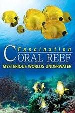 Watch Fascination Coral Reef: Mysterious Worlds Underwater Nowvideo