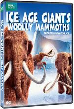 Watch Woolly Mammoth: Secrets from the Ice Nowvideo