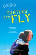 Watch Turtles Can Fly Nowvideo