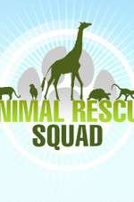 Watch Animal Rescue Squad Nowvideo