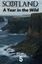 Watch Scotland: A Wild Year Nowvideo