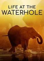 Watch Life at the Waterhole Nowvideo