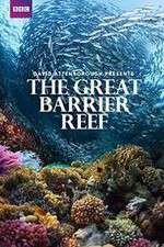 Watch Great Barrier Reef with David Attenborough Nowvideo