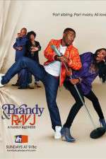 Watch Brandy and Ray J: A Family Business Nowvideo