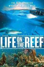 Watch Life on the Reef Nowvideo