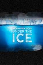 Watch Bering Sea Gold Under the Ice Nowvideo
