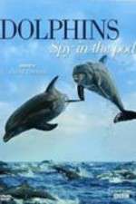 Watch Dolphins: Spy in the Pod Nowvideo