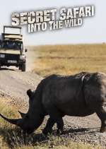 Watch Secret Safari: Into the Wild Nowvideo