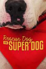 Watch Rescue Dog to Super Dog (US) Nowvideo