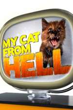Watch My Cat from Hell Nowvideo