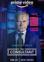 Watch The Consultant Nowvideo