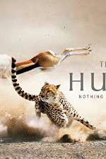Watch The Hunt Nowvideo