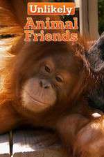 Watch Unlikely Animal Friends Nowvideo