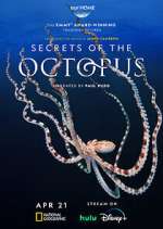 Secrets of the Octopus nowvideo