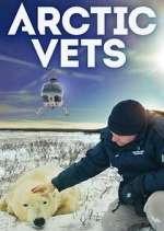 Watch Arctic Vets Nowvideo