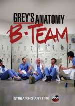 Watch Grey's Anatomy: B-Team Nowvideo