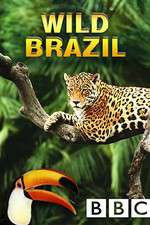 Watch Wild Brazil Nowvideo