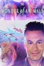 Watch The Wonder of Animals Nowvideo