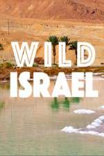 Watch Wild Israel Nowvideo