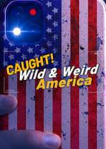 Watch Wild & Weird America Nowvideo