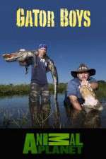 Watch Gator Boys Nowvideo