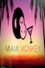 Watch Miami Monkey Nowvideo