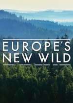 Watch Europe's New Wild Nowvideo