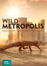 Watch Wild Metropolis Nowvideo