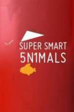 Watch Super Smart Animals Nowvideo