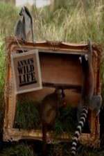 Watch Anna's Wild Life Nowvideo