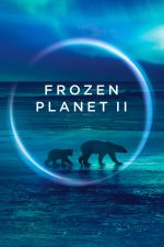 Watch Frozen Planet II Nowvideo