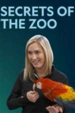 Watch Secrets of the Zoo Nowvideo