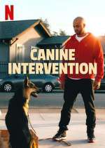 Watch Canine Intervention Nowvideo