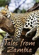 Watch Tales from Zambia Nowvideo