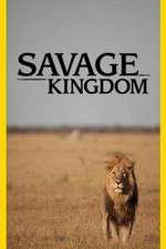 Watch Savage Kingdom Nowvideo